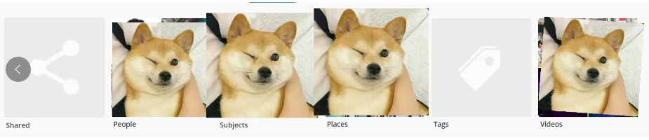 image-20230508134407319